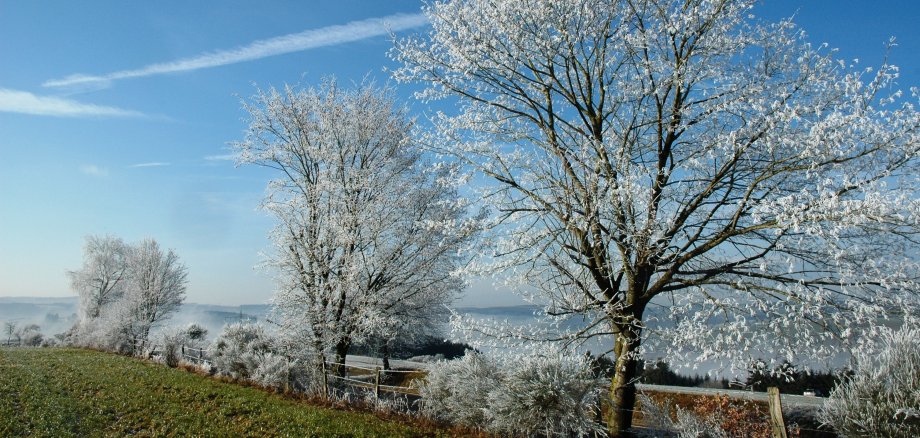Knackig kalte Winterlandschaft in Dörrebach.
